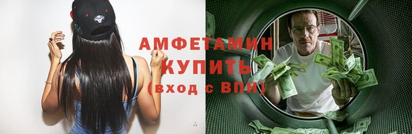 индика Ростов