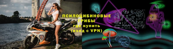шишки Рославль