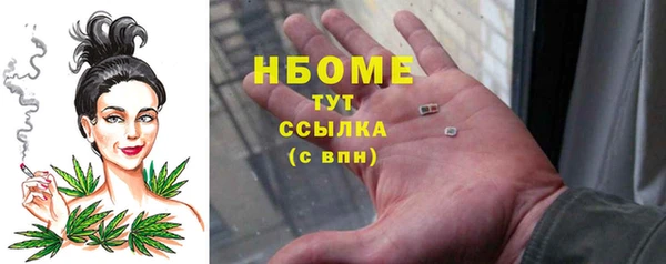 шишки Рославль