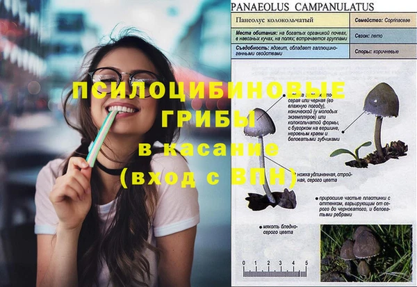 шишки Рославль