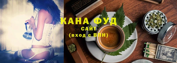индика Ростов